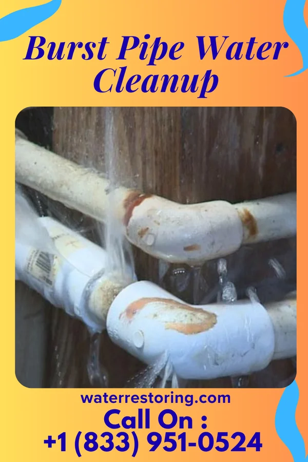 Burst Pipe Water Cleanup in Edgewood, PA