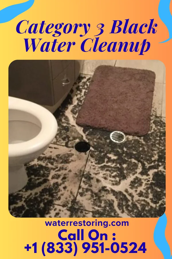 Category 3 Black Water Cleanup in Edgewood, PA