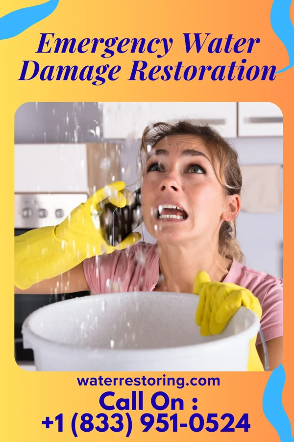 Emergency Water Damage Restoration in Edgewood, PA