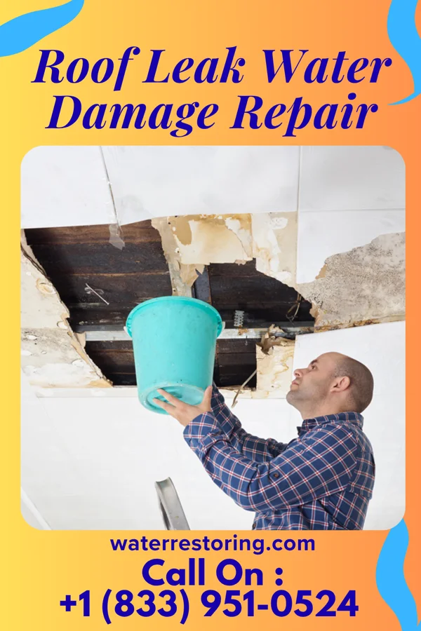 Roof Leak Water Damage Repair in Edgewood, PA