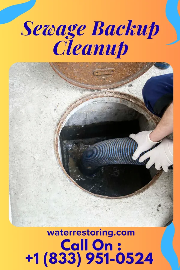 Sewage Backup Cleanup in Edgewood, PA