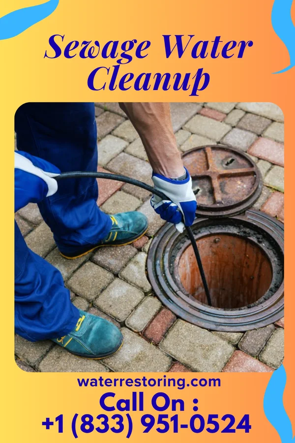 Sewage Water Cleanup in Edgewood, PA