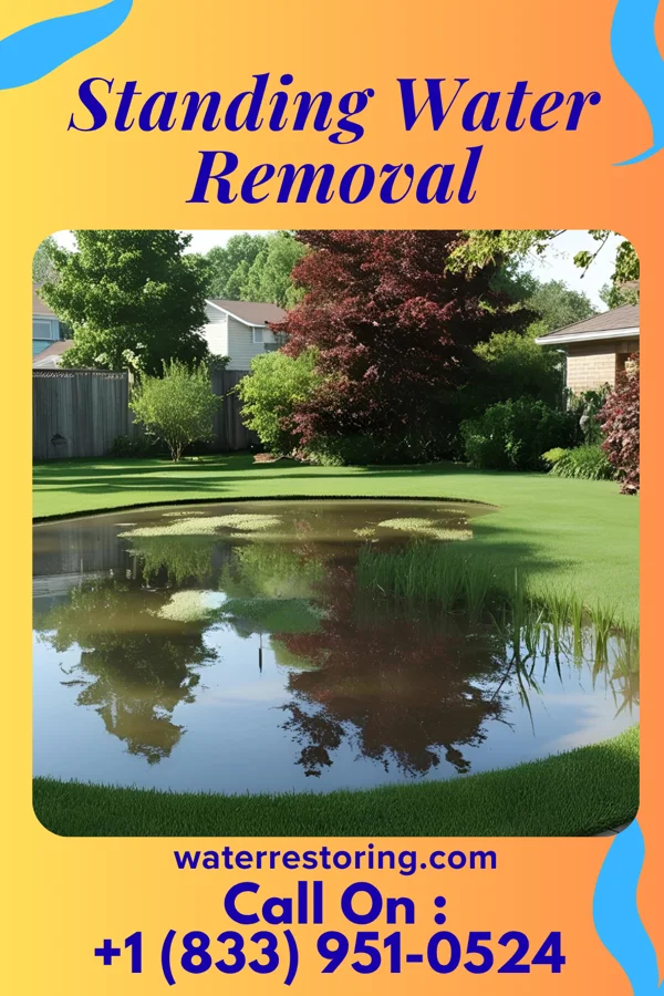 Standing Water Removal in Edgewood, PA